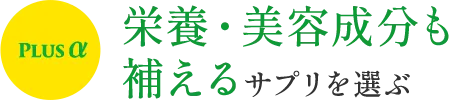 テキストテキストテキストテキストテキスト